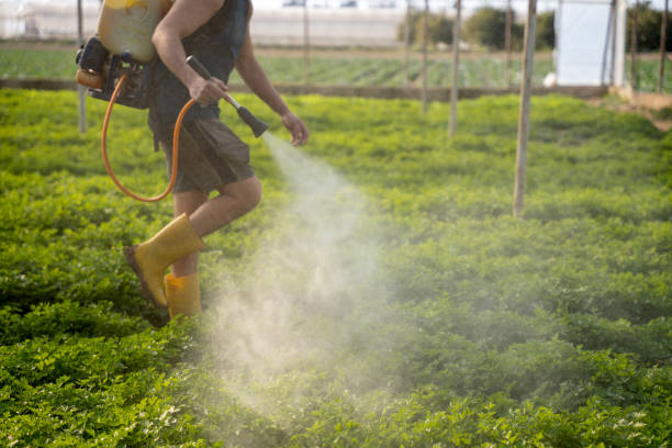 Best Pest Inspection Near Me  in Gore, OK