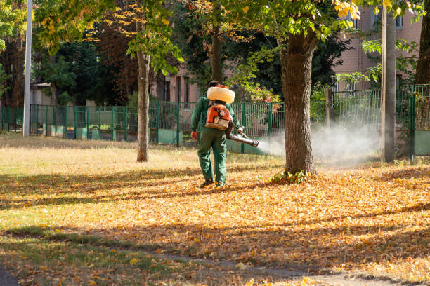 Best Local Pest Control Services  in Gore, OK
