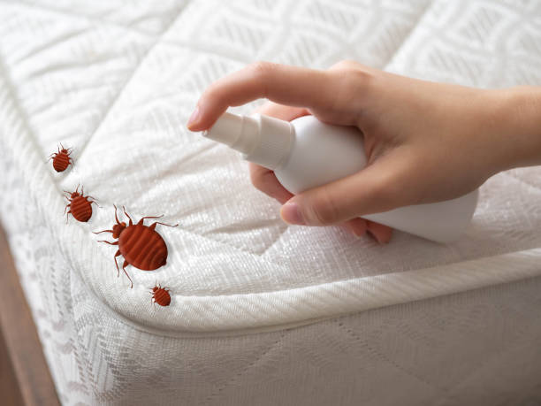 Best Commercial Pest Control Services  in Gore, OK